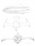 1st scetch ship design.jpg