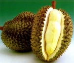 Durian.jpg