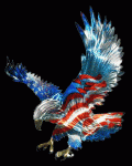 Eagle 1.gif