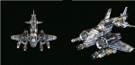 Shark - Antares b.gif Shark - Antares b.gif