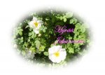 Hyvää Juhannusta 2012.jpg