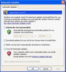 The Automatic Updates dialog box.jpg The Automatic Updates dialog box.jpg