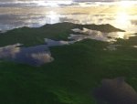 Landscape 6.jpg
