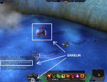 mode pirate bug.JPG