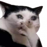 1760280015212.png