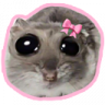 zeky66
