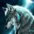 ShadowWolf93